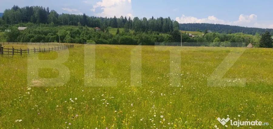Teren 10.000 mp, intravilan, zona Neagra Sarului - 3