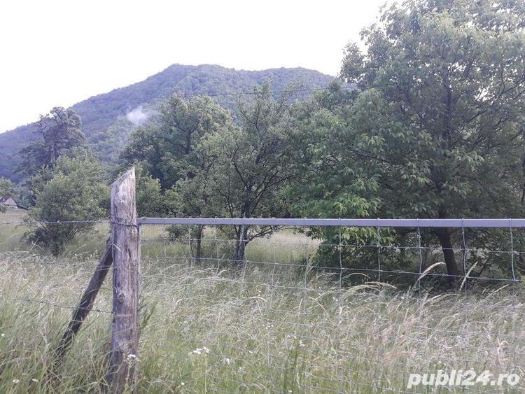 Teren de 5300 mp, în Suseni