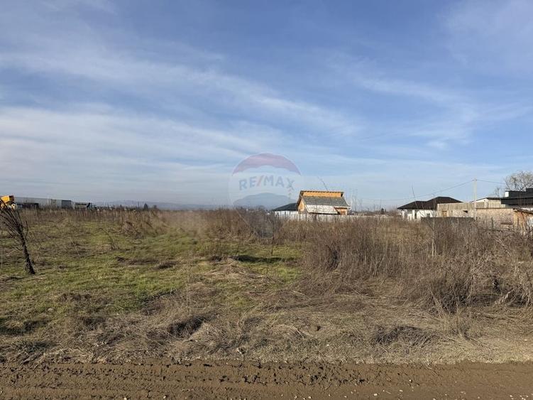 Teren Construcții intravilan de 7478 mp, în Bucov
