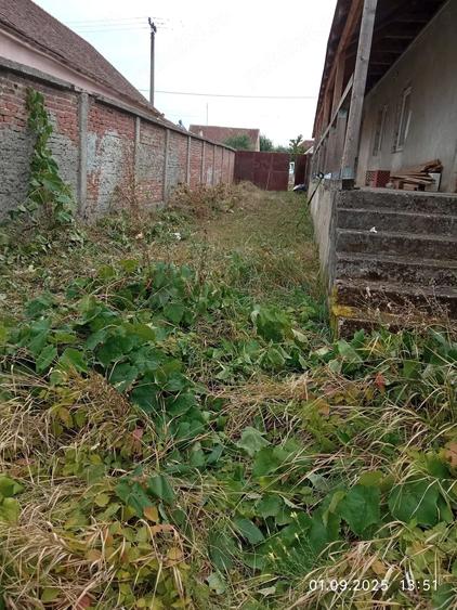 Casă cu 3 camere cu Teren 1440 Mp în Zăbrani