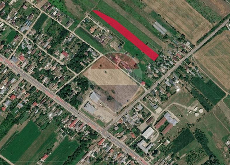 Teren Construcții intravilan de 6500 mp, în Tărtășești