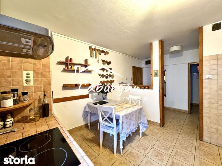 Apartament cu 3 camere decomandat, mobilat în Terezian