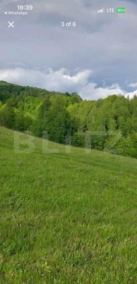 Teren Construcții intravilan de 4500 mp, în Ponorel
