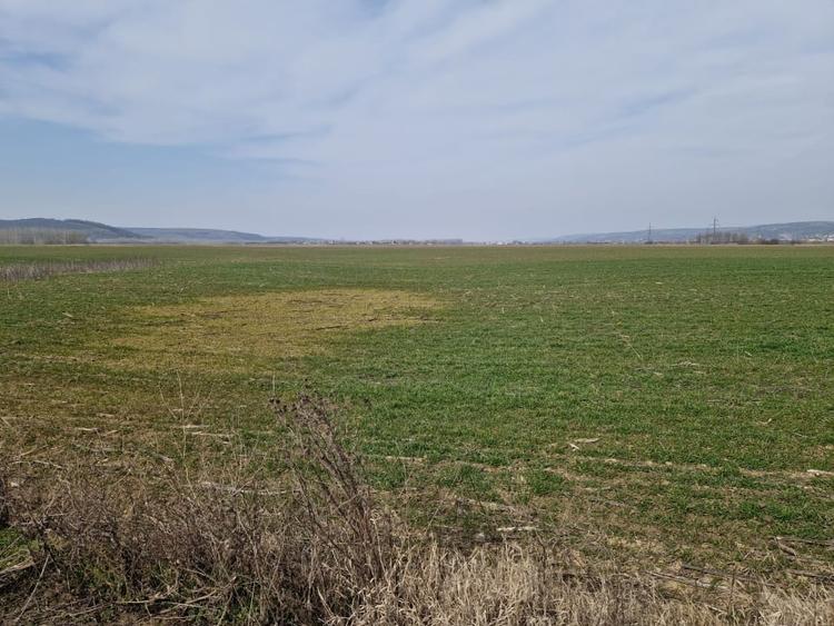 Teren Construcții intravilan de 3300 mp, în Șimnicu de Sus