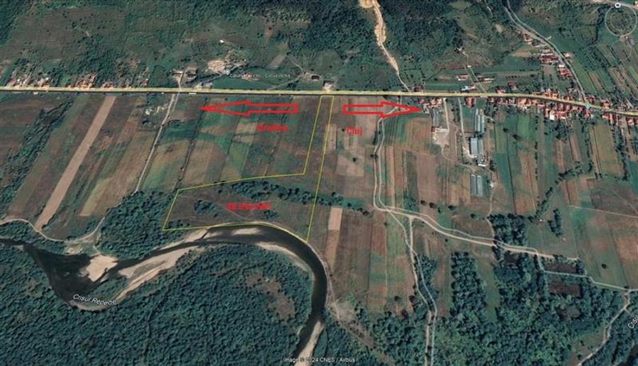 Teren Construcții intravilan de 38054 mp, în Groși