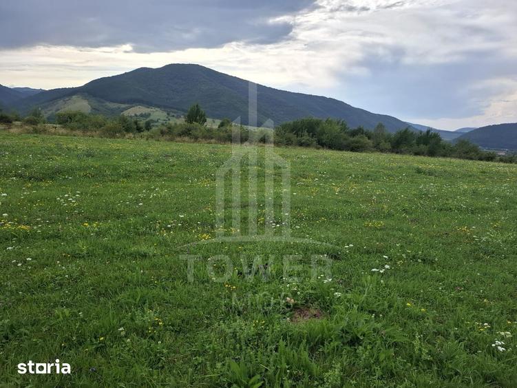 Teren de 1500 mp, în Orlat