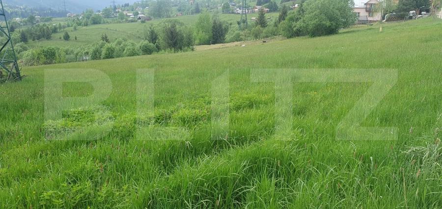 Teren Construcții intravilan de 9964 mp, în Vatra Dornei