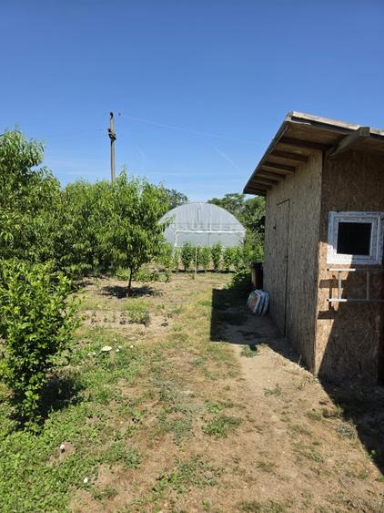 Casă P+1 de vanzare - 4