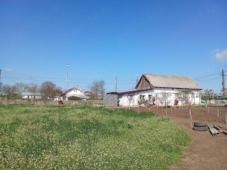 Casă cu 3 camere cu Teren 3200 Mp în Plopeni