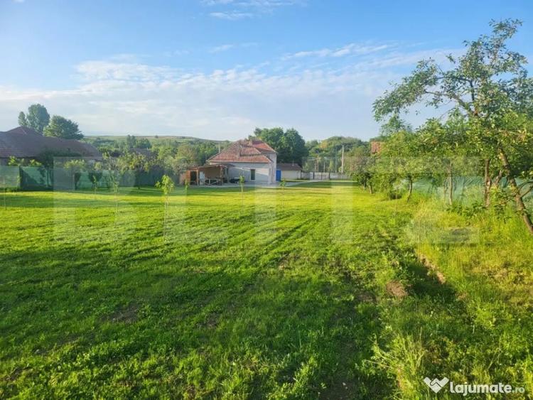 Casă cu 5 camere cu Teren 4079 Mp în Teiu