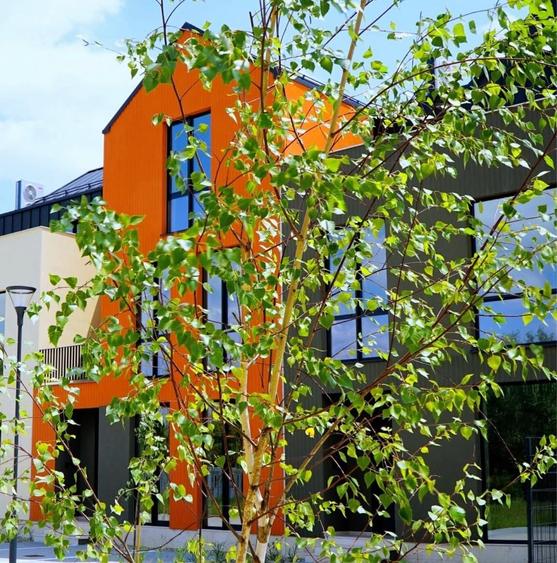 Vila noua, 4 camere, complex case The Meadows, Petrom City, Genesis School, Deutsche Schule - 5