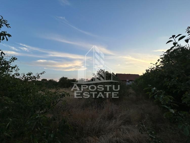 Teren Construcții intravilan de 648 mp, în Braytim