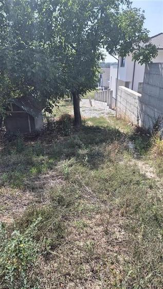 Teren Construcții intravilan de 3600 mp, în Podgoria
