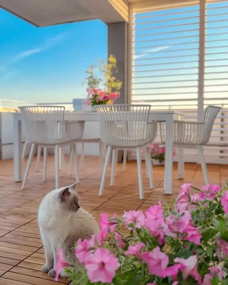 Apartament cu 2 camere în Tunari