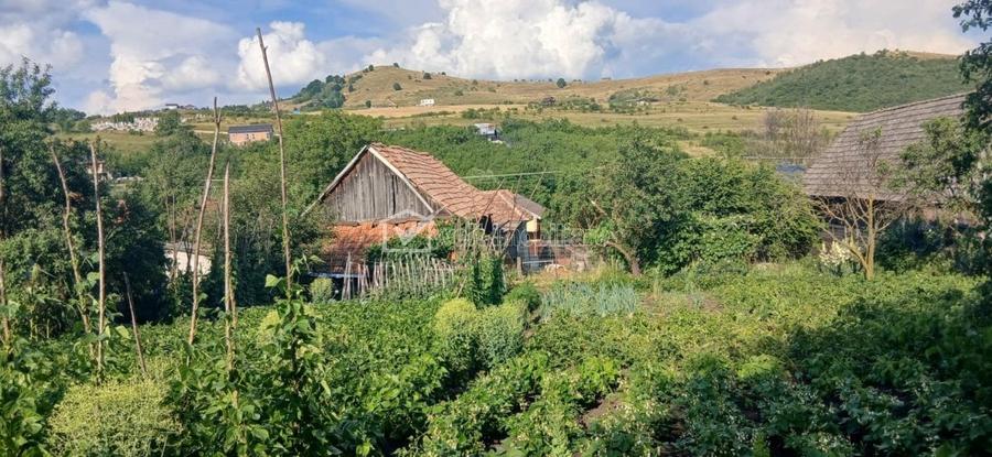 Casă cu 3 camere cu Teren 80 Mp în Sălicea