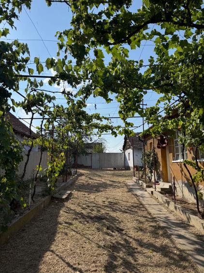 Casă cu 2 camere în Ianoșda