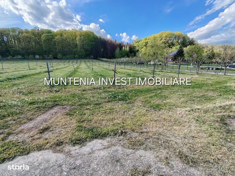 Spațiu comercial, în Albota