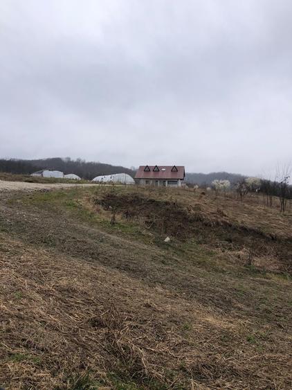 Teren agricol extravilan de 33 mp, în Zătreni