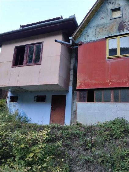 Casă în Pădurea Neagră