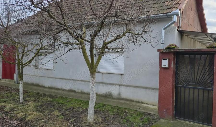 Casă cu 3 camere cu Teren 1355 Mp în Mihai Bravu