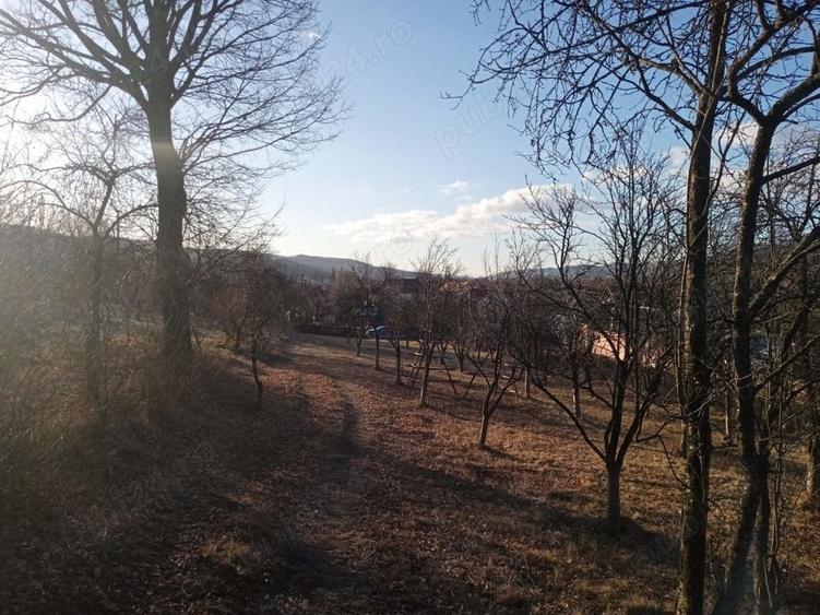 Teren de 4700 mp, în Vâlsănești