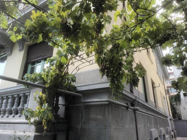Apartament cu 3 camere decomandat în Dorobanți