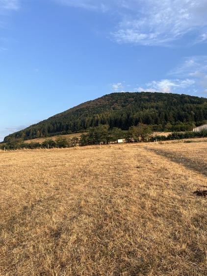 Teren de 2812 mp, în Gura Râului