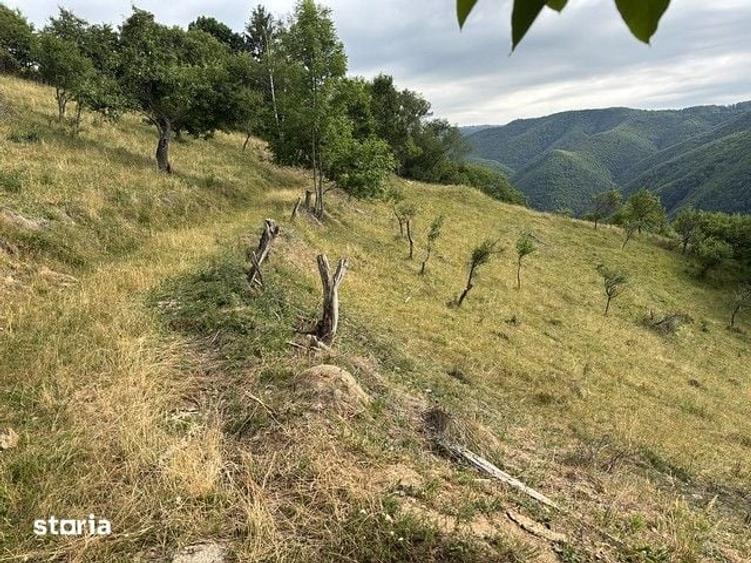 Casă cu 3 camere cu Teren 87271 Mp în Săsciori