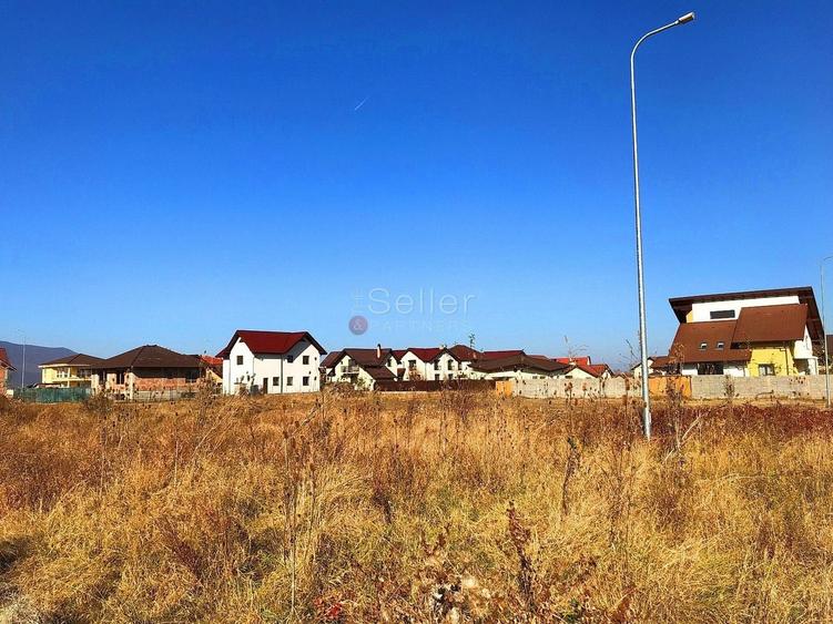 Teren Construcții intravilan de 6000 mp, în Ghimbav Livadă