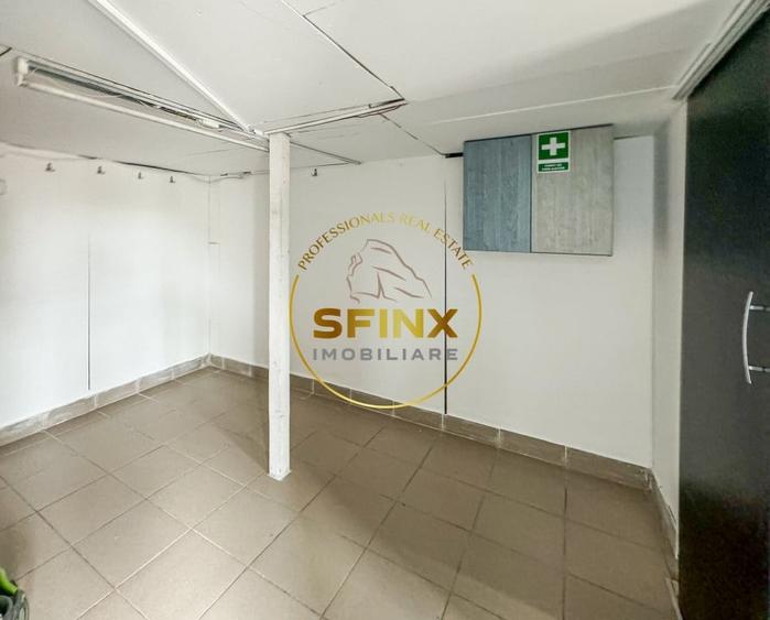 Spațiu industrial, de 123.4700012207 mp, în Theodor Pallady