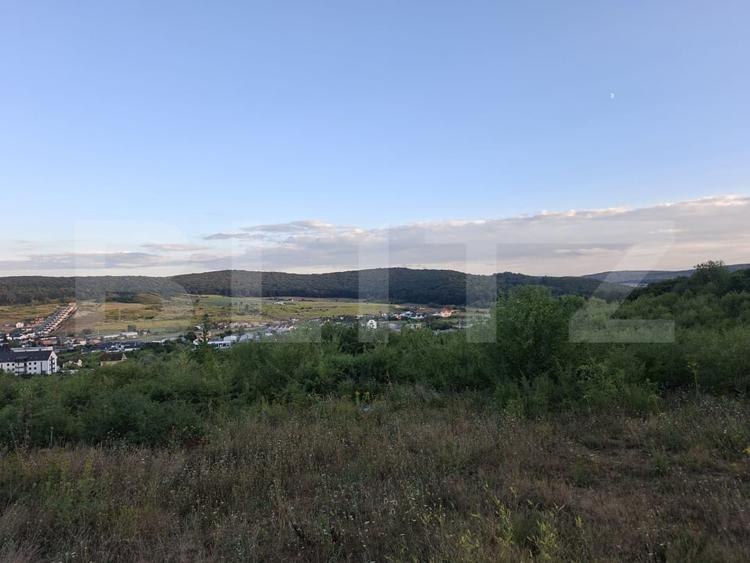 Teren agricol extravilan de 5100 mp, în Livezeni