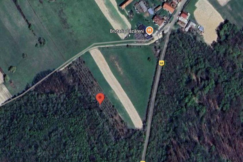 Teren extravilan de 4480 mp, în Lăzăreni