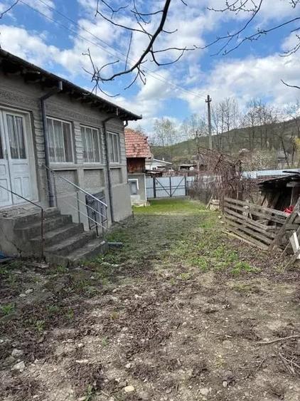 Casă cu Teren 3384 Mp în Bârsănești