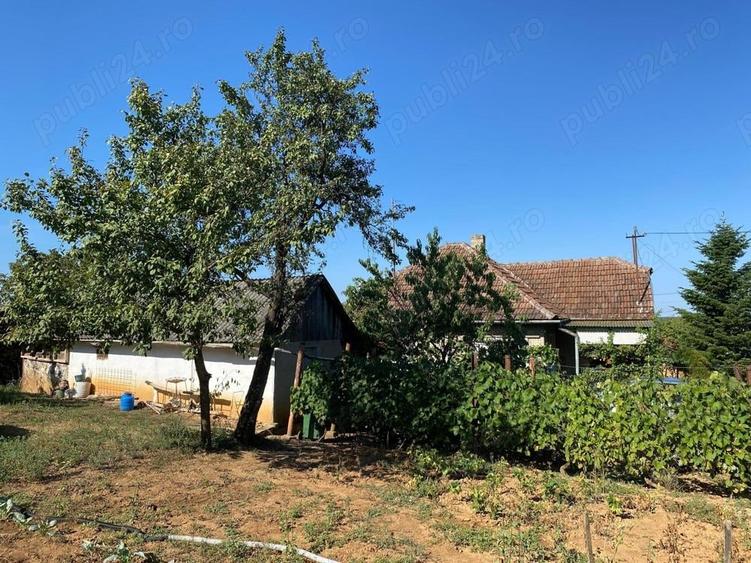 Casă cu 2 camere cu Teren 1875 Mp în Săcășeni