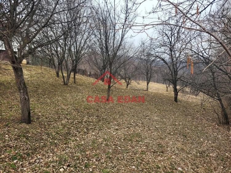 Casă cu Teren 1358 Mp în Gura Beliei