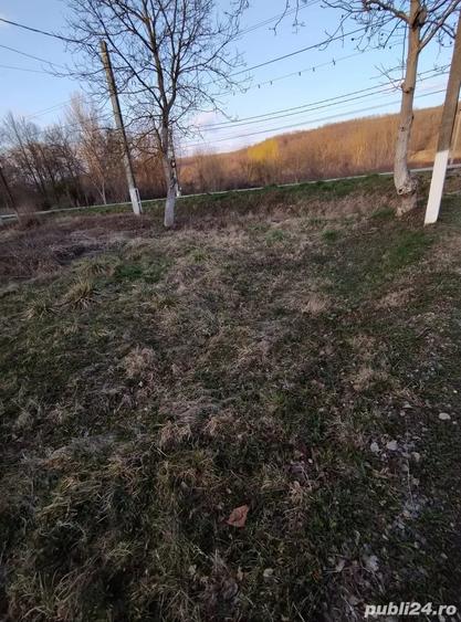 Teren de 3 mp, în Bogați