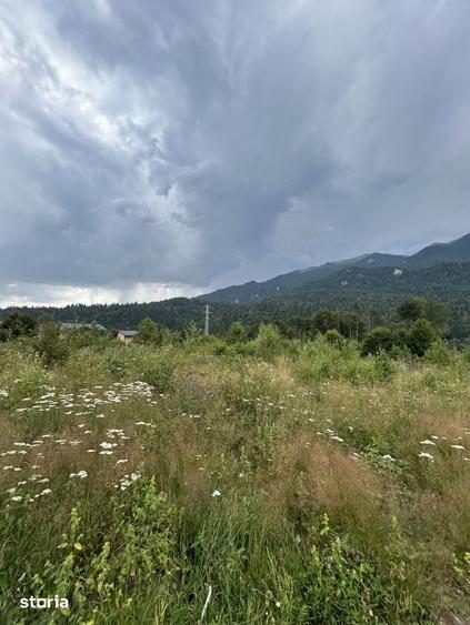 Teren de 1000 mp, în Cumpătu