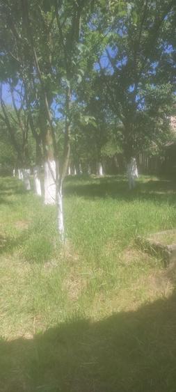 Casă cu 4 camere în Ocna Șugatag