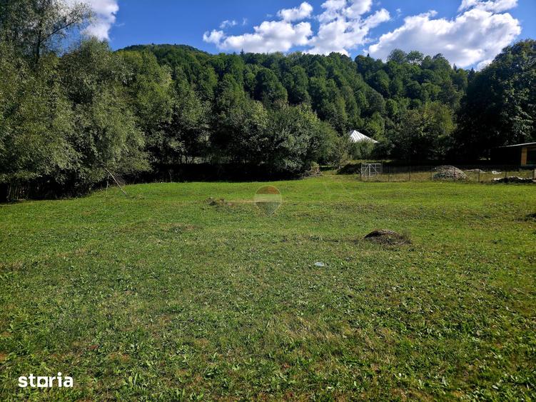 Teren de 1113 mp, în Tarcău