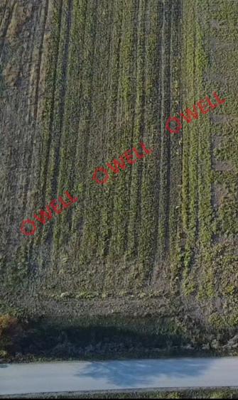 Teren extravilan de 824 mp, în Calnic