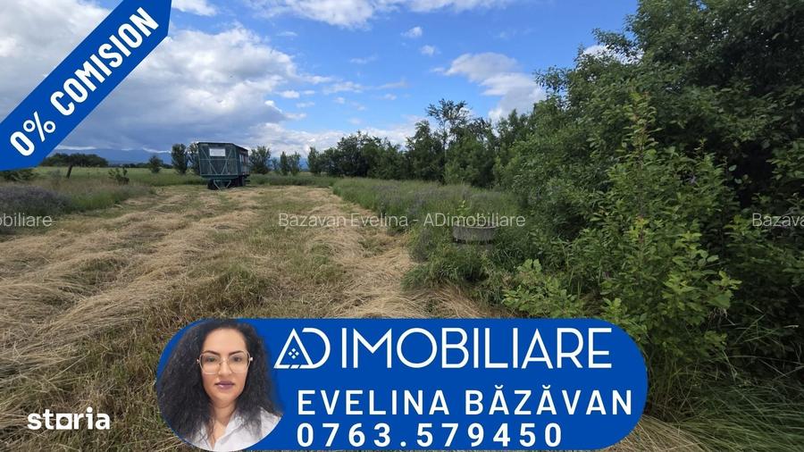 Teren intravilan de vanzare Bucureasa/Dane?ti