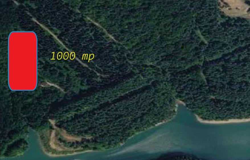 Teren Construcții intravilan de 1000 mp, în Văliug