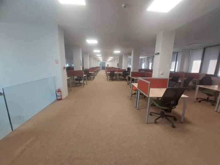Bd. Mamaia, birouri PREMIUM - 1
