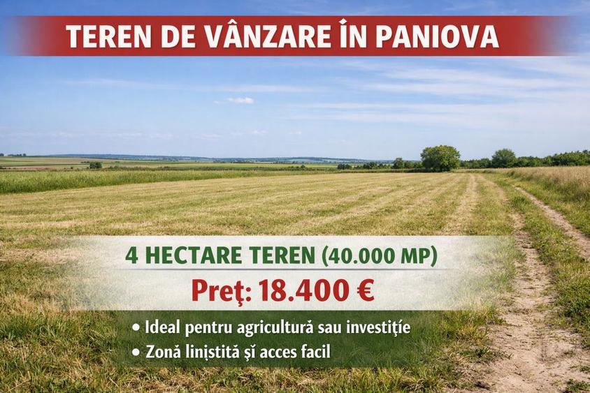 Spațiu comercial, în Paniova