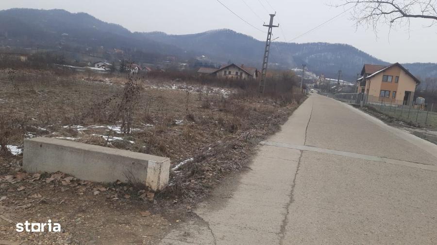 Teren de 2700 mp, în Cicârlău