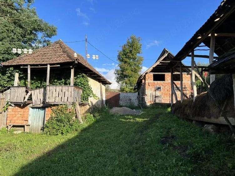 Casa si anexe, teren 5000 mp Mineu, Salaj