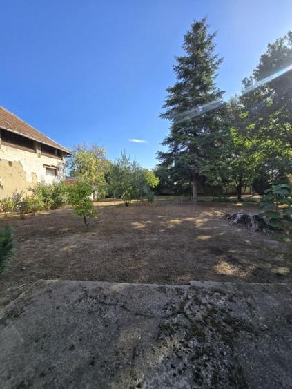 Casă individuală cu 2 camere cu Canalizare în Cenad