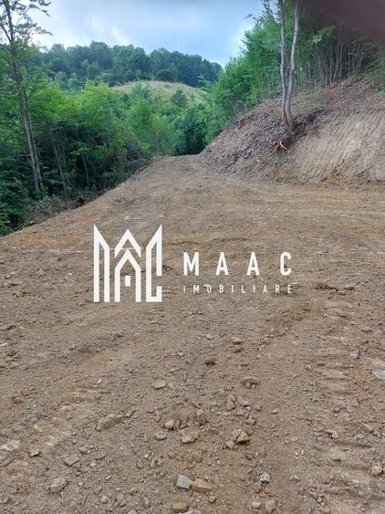 Teren agricol extravilan de 5000 mp, în Bistra