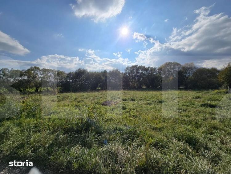 Teren de 1200 mp, în Ciurila