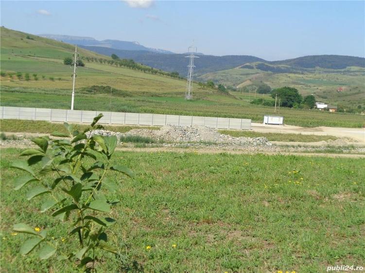 Teren de 5500 mp, în Stejeriș